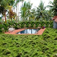 Hotel Bombay Tiffanys Mysore Ngoại thất bức ảnh